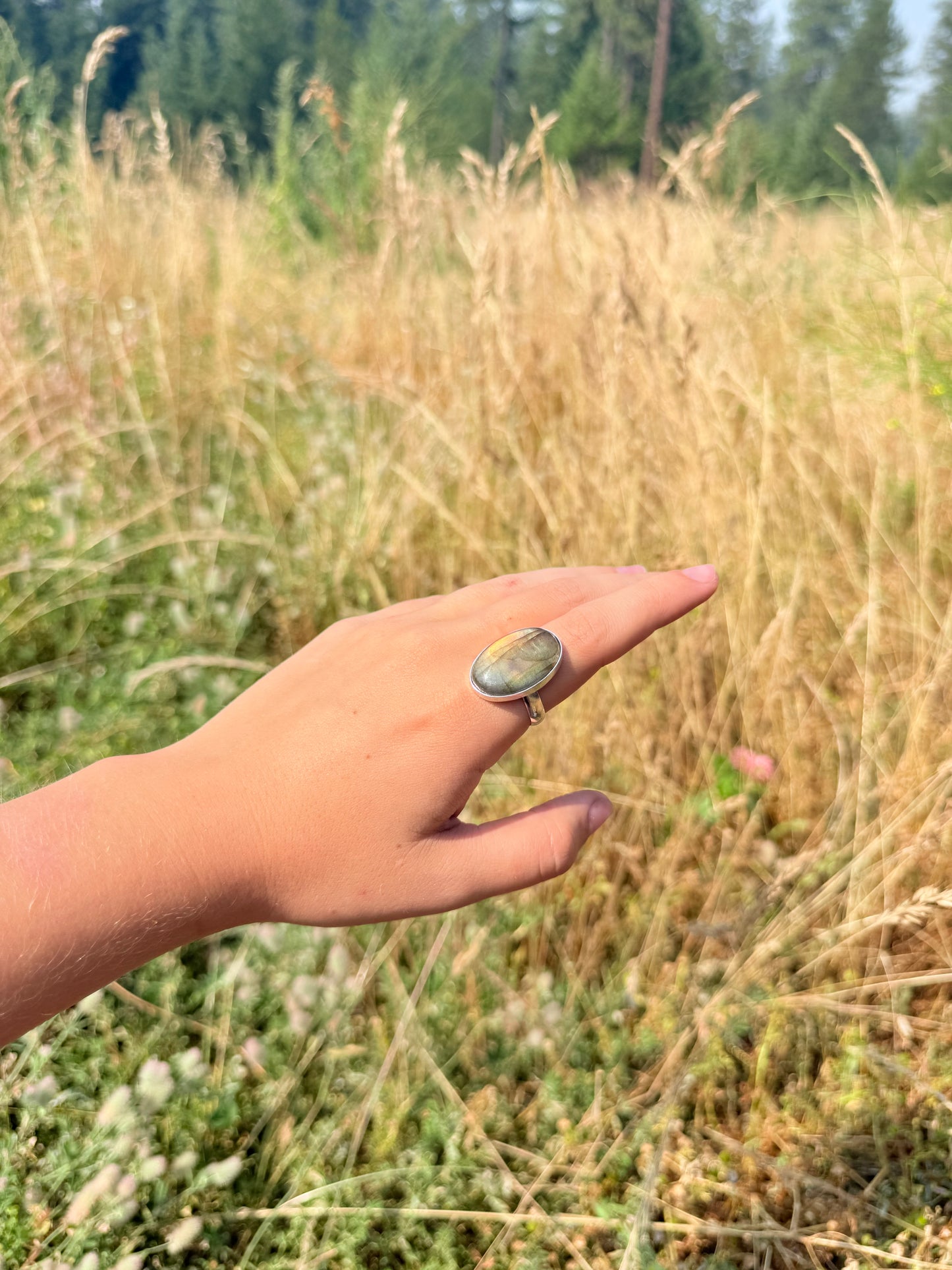 Solstice Ring