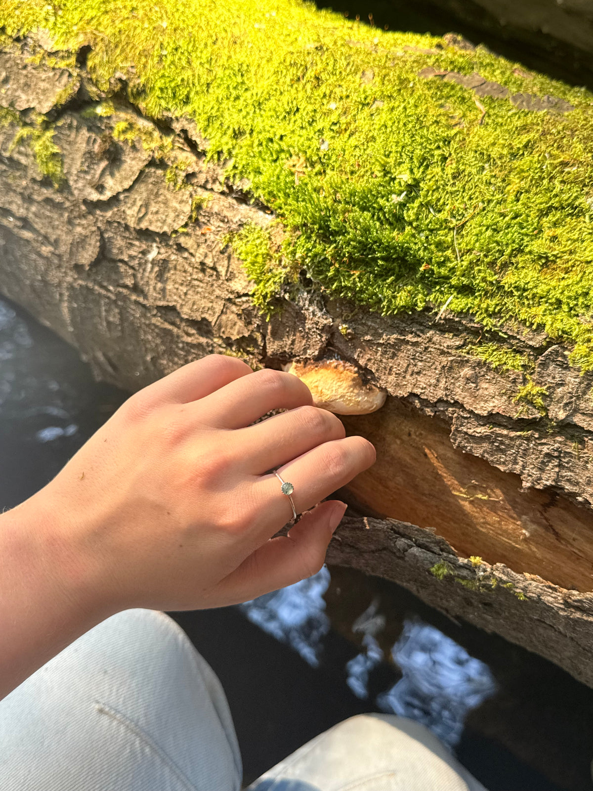 Trail Ring