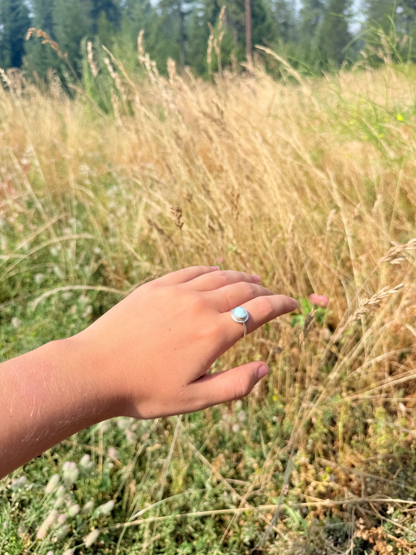 Stillwater Ring