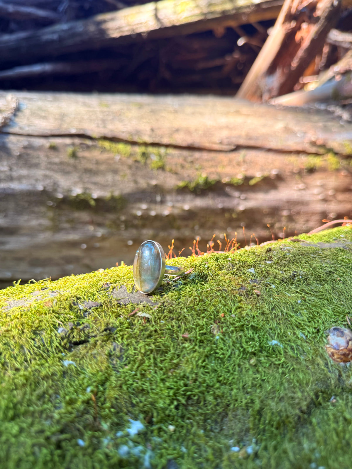 Solstice Ring